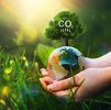 Klimafußabdruck der Zigarettenindustrie